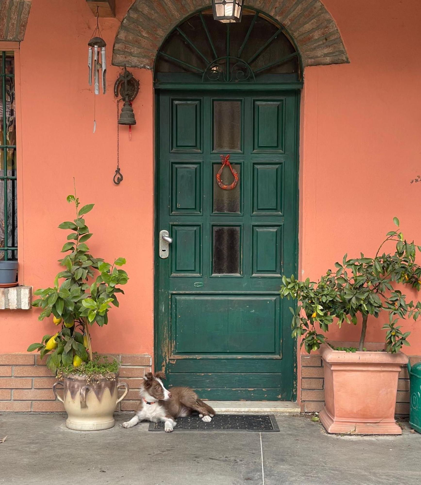 B&B La Cascina Di Alice Кастільйоне-делле-Стів'єре Екстер'єр фото